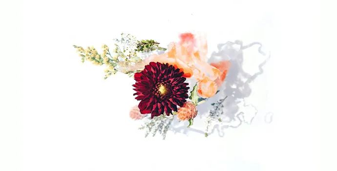 靈山云悅讀｜名師講壇——品讀花史，慧眼識花