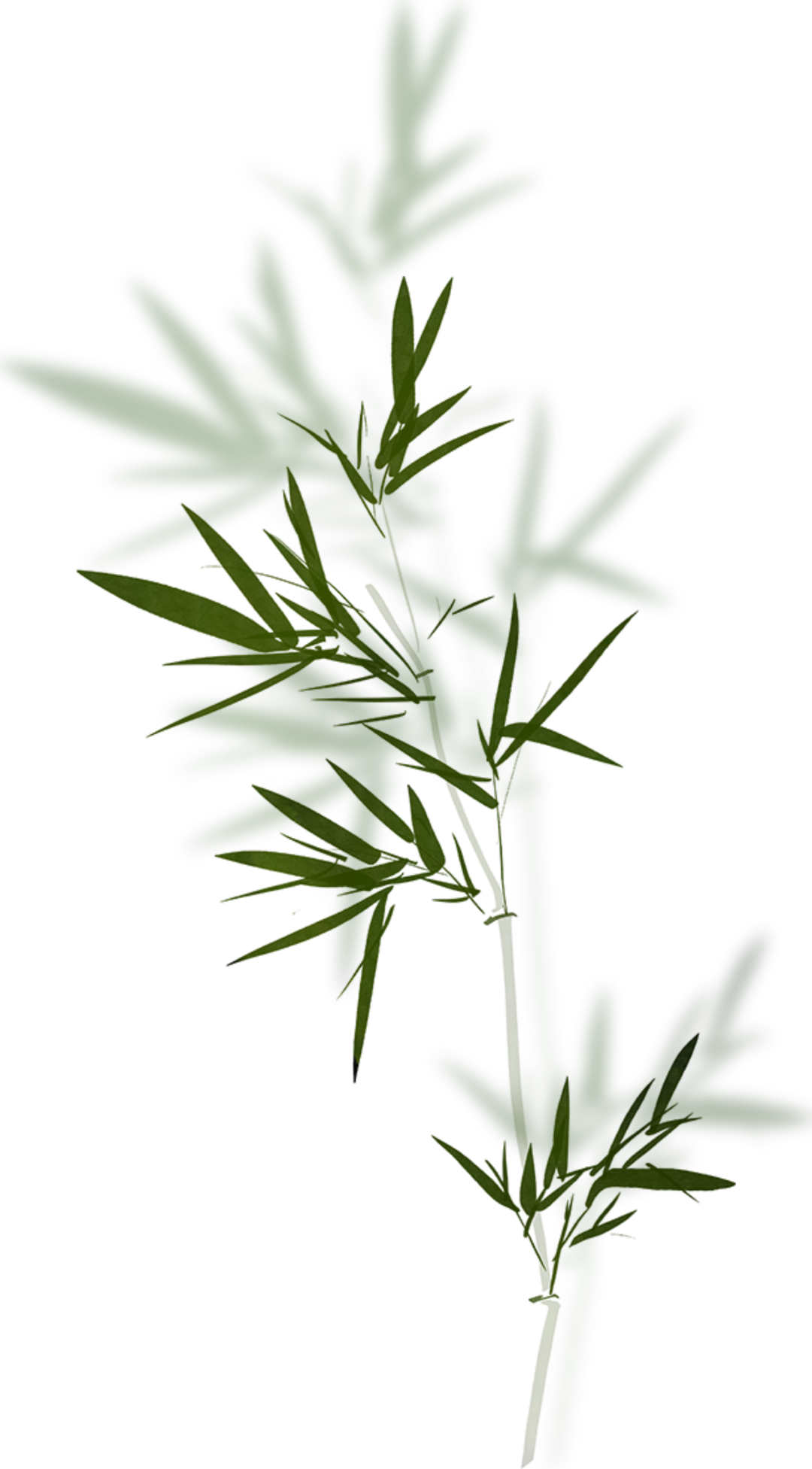 靈山悅讀｜“網(wǎng)絡(luò)中國(guó)節(jié)·端午” 一葉裹起濃夏，一線(xiàn)繞盡思念