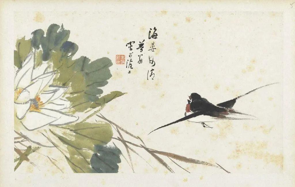 圖片