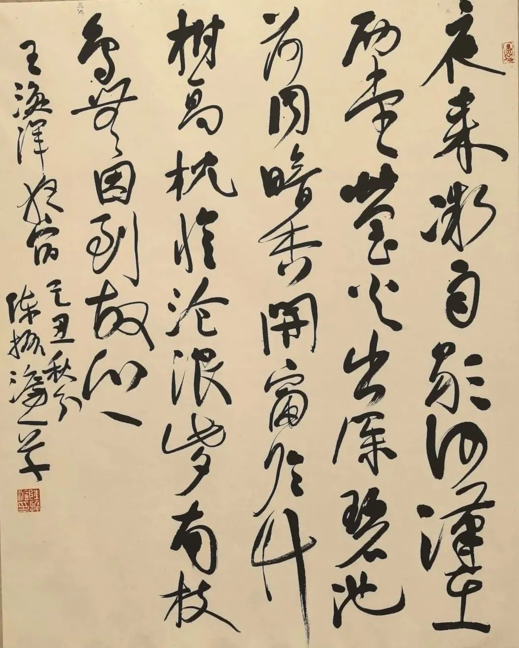 圖片