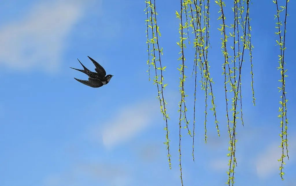 今日春分 | 在白晝漸長(zhǎng)的春日里，愿你積攢好能量，向愈加溫暖與燦爛的遠(yuǎn)方繼續(xù)前進(jìn)