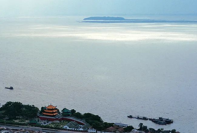 圖片
