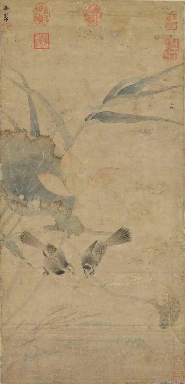 圖片