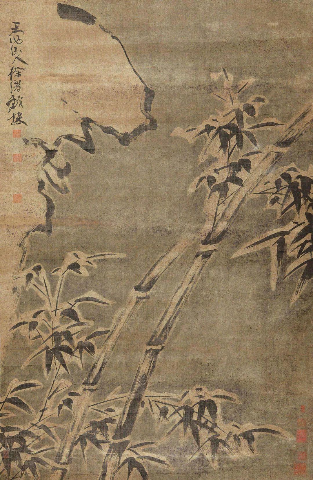 圖片