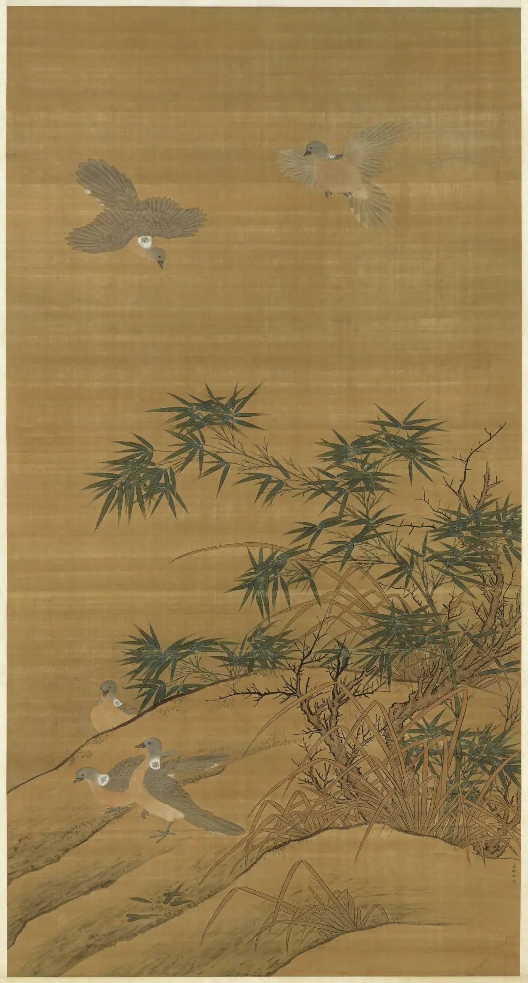 圖片
