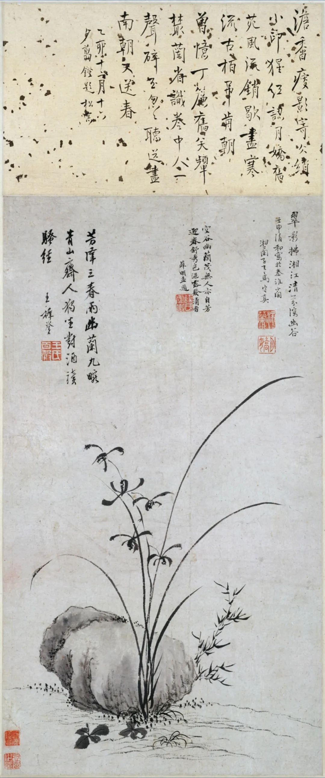 圖片