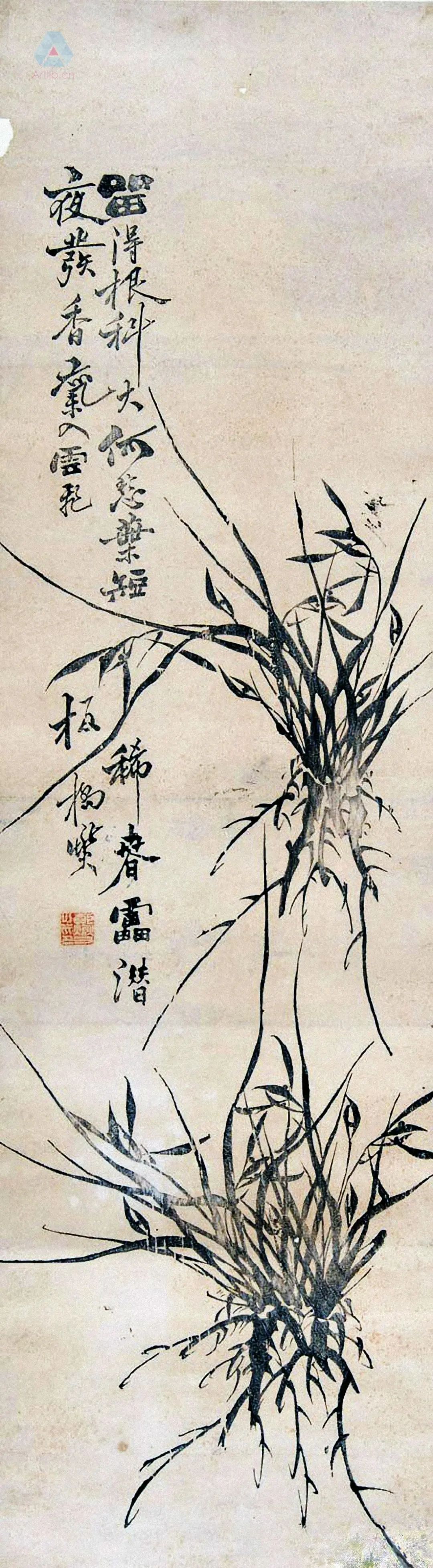 圖片