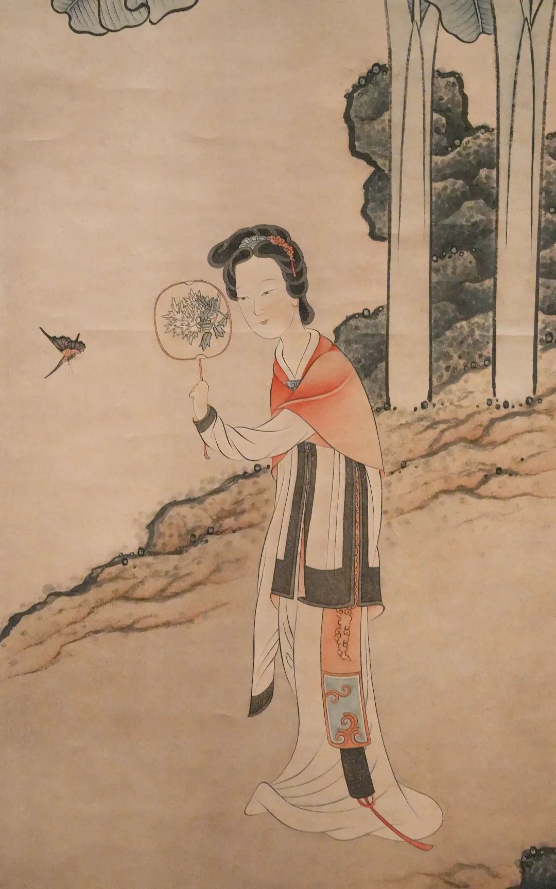 圖片
