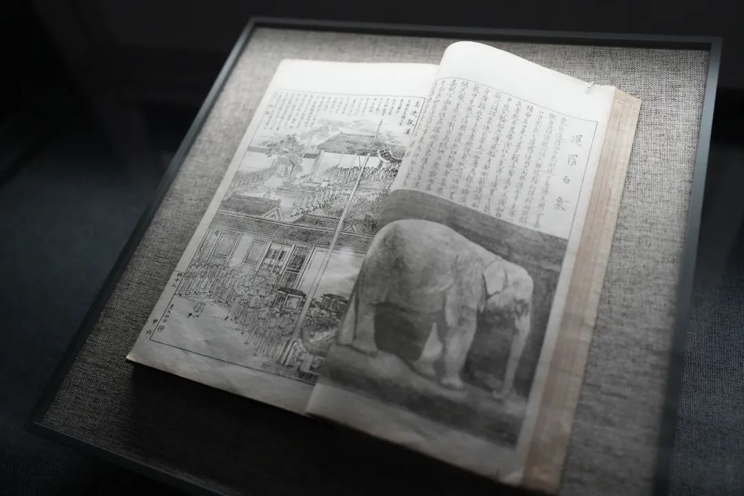 圖片