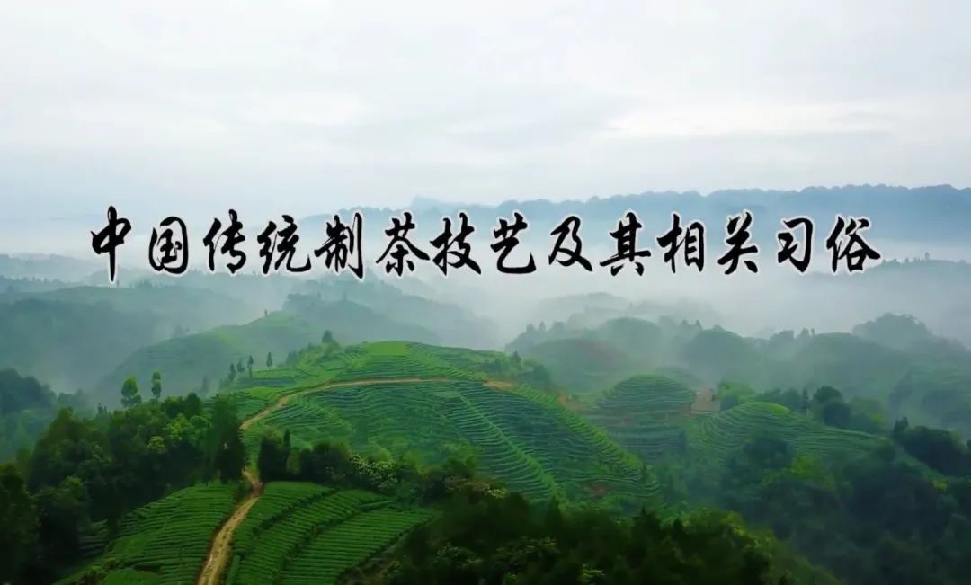 世界非遺看中國：中國茶——謙和禮敬 茶和天下