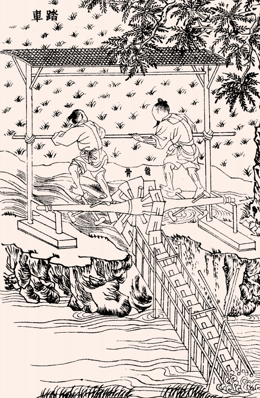 圖片